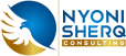 Nyoni Sherq Consulting